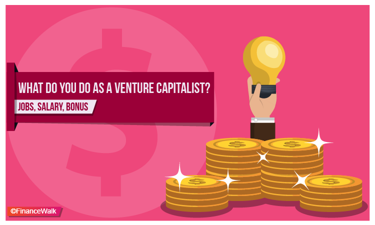 What Do You Do as a Venture Capitalist Jobs, Salary, Bonus